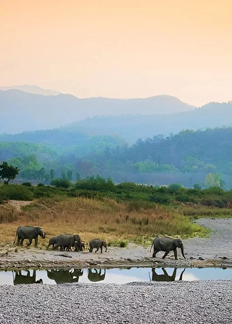 Dhikala Zone