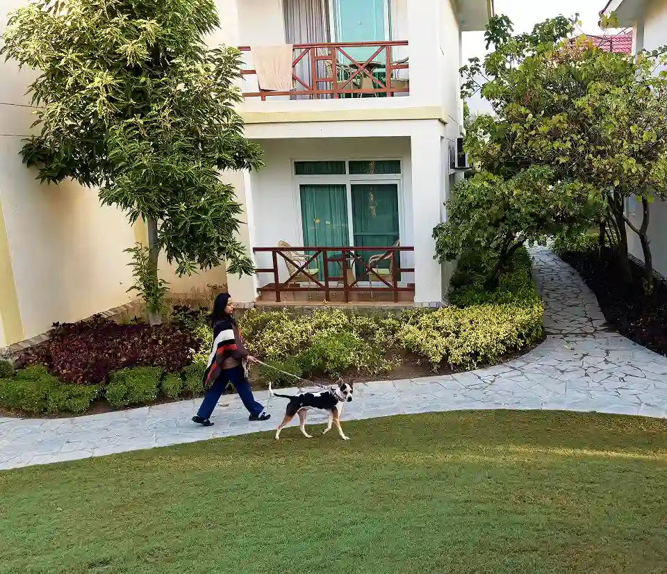 pet-friendly
