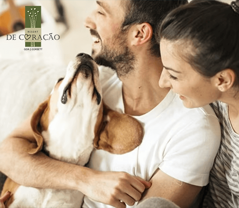 Five Star Hotels in India Get More Pet Friendly