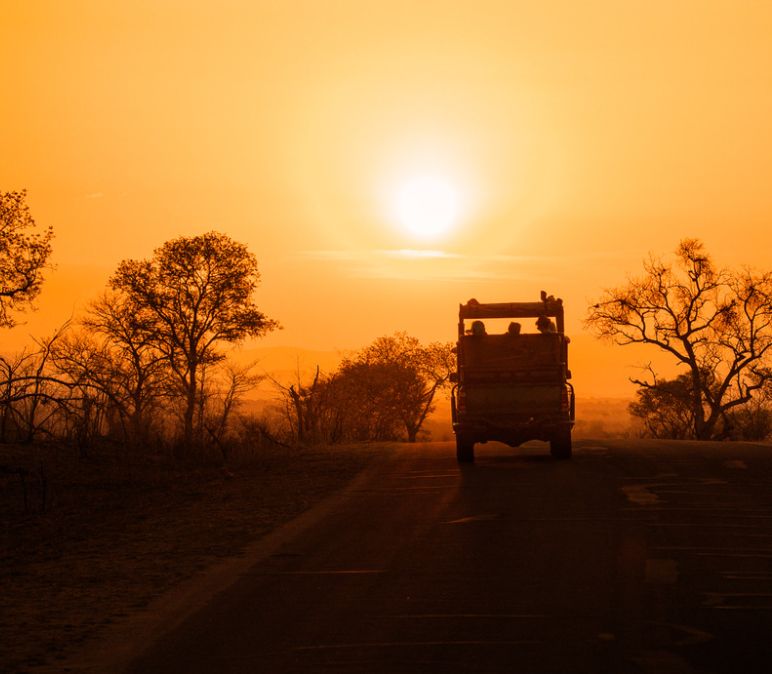 Keys to Comparing and Buying Jim Corbett Safari Package