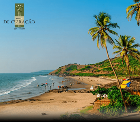 A Happy And Leisure Vacation To The Delightful Shores In Goa? Is It Worth A Go?
